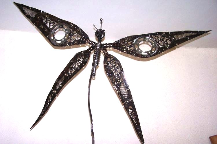 Miss Libellule Détails